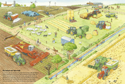 Traktor, Kühe & Bauernhof: Das große Wimmelbuch vom Landleben - Abbildung 1