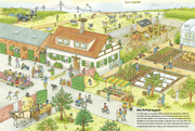 Traktor, Kühe & Bauernhof: Das große Wimmelbuch vom Landleben - Abbildung 3