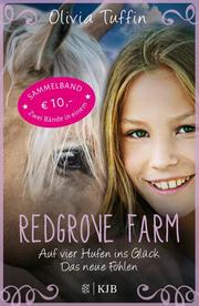 Redgrove Farm - Auf vier Hufen ins Glück/Das neue Fohlen