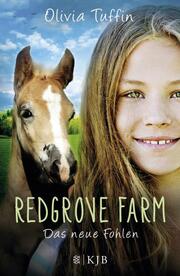 Redgrove Farm - Das neue Fohlen