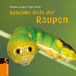 Geheime Welt der Raupen - Cover