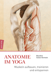 Anatomie im Yoga