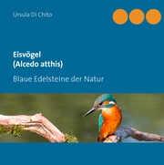 Eisvögel (Alcedo atthis) - Cover