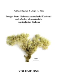 Images from Lichenes Australasici Exsiccati and of other characteristic Australasian Lichens 1