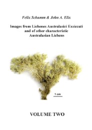 Images from Lichenes Australasici Exsiccati and of other characteristic Australasian Lichens.Volume Two