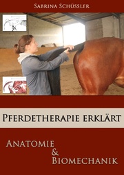 Pferdetherapie erklärt