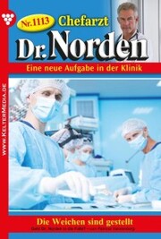 Chefarzt Dr. Norden 1113 - Arztroman