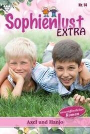 Sophienlust Extra 14 - Familienroman