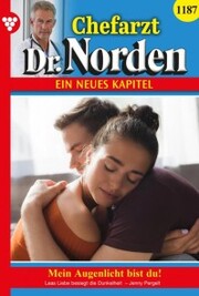 Chefarzt Dr. Norden 1187 - Arztroman