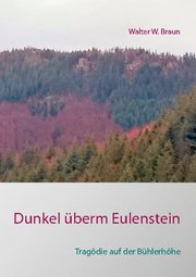 Dunkel überm Eulenstein - Cover