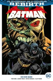 Batman 3 - Cover