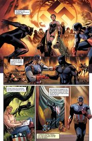 Black Panther - Illustrationen 3