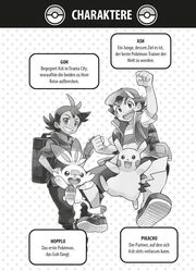 Pokémon Reisen 1 - Abbildung 1