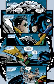 Nightwing: Das erste Jahr - Abbildung 2