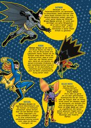 Batman Action: Batman im Gruselhaus von Gotham - Abbildung 1