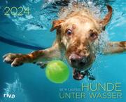 Hunde unter Wasser 2024 - Cover