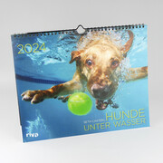 Hunde unter Wasser 2024 - Abbildung 1