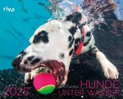 Hunde unter Wasser 2025 - Cover