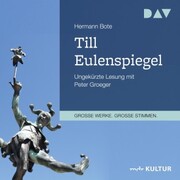 Till Eulenspiegel. Ein kurzweiliges Buch von Till Eulenspiegel aus dem Lande Braunschweig in 96 Historien - Cover