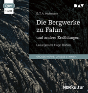 Die Bergwerke zu Falun und andere Erzählungen