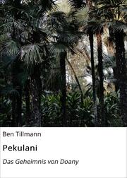 Pekulani - Cover
