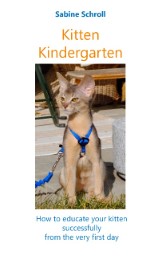 Kitten Kindergarten - Cover