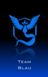Pokemon GO - Team Blau (Weisheit) Notizbuch