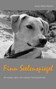 Finn Seelenspiegel - Cover