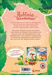 Rubinia Wunderherz - Der geheimnisvolle Eiszauber - Abbildung 1
