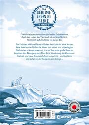 Das geheime Leben der Tiere (Arktis) - Die Weisheit der Eisbären - Abbildung 1
