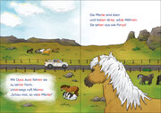 Leselöwen 1. Klasse - Abenteuer bei den Islandpferden - Abbildung 2