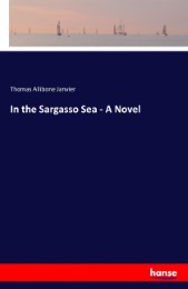 In the Sargasso Sea - A Novel