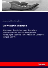 Ein Winter in Tübingen - Cover