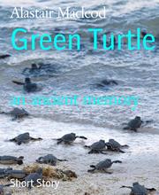 Green Turtle - Cover