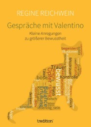 Gespräche mit Valentino - Cover