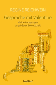 Gespräche mit Valentino - Cover