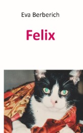 Felix - Cover