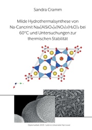 Milde Hydrothermalsynthese von Na-Cancrinit Na8[AlSiO4]6(NO3)2(H2O)4 bei 60 GradC und Untersuchungen zur thermischen Stabilität - Cover