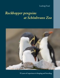 Rockhopper penguins at Schönbrunn Zoo
