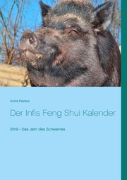 Der Infis Feng Shui Kalender - Cover