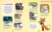 Wilde Tiere in der Stadt - Das Natur-Mitmachbuch - Abbildung 3