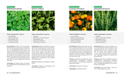 Gartenmomente: Kräuter im Garten - Abbildung 4