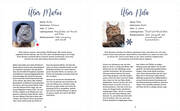 Mein Adventskalender-Buch: Fröhliche Miaunachten - Abbildung 2