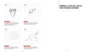 Tiere zeichnen - Das XXL-Starter-Set: Zwei Bücher im Bundle - Abbildung 11