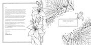 Tropical Flowers - Exotische Blumen- und Pflanzen-Motive ausmalen - Illustrationen 1