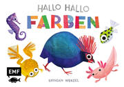 Hallo Hallo - Farben - Cover