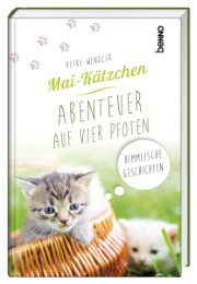 Mai-Kätzchen - Abenteuer auf vier Pfoten - Cover
