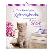 Der himmlische Katzenkalender 2025 - Cover