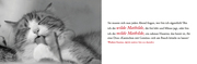 Katzen - Literarischer Tischkalender 2024 - Abbildung 5