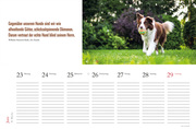 Literarischer Tischkalender Hunde 2025 - Illustrationen 3